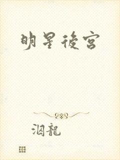 明星后宫