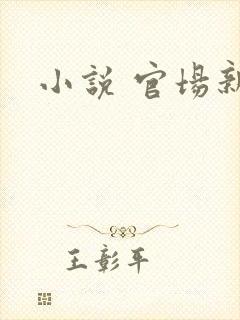小说 官场新贵
