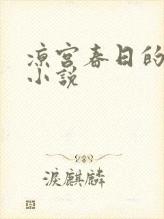 凉宫春日的忧郁小说