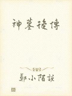 神墓后传封面