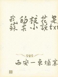 我的校花是福姬苏柔小说txt