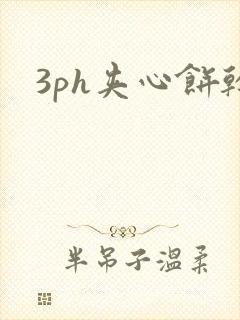 3ph夹心饼干封面