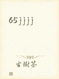 65jjjj封面
