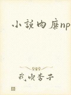 小说肉糜np