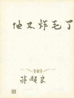 他又炸毛了封面