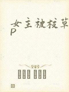 女主被校草们NP