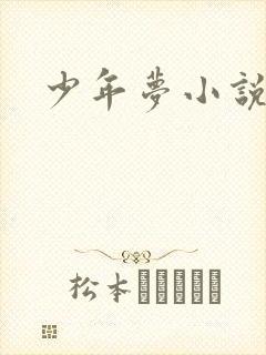 少年梦小说