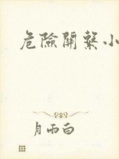 危险关系小说