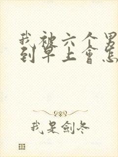 我被六个男人躁到早上会怎么样封面