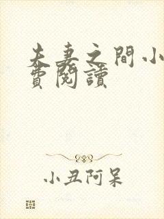 夫妻之间小说免费阅读