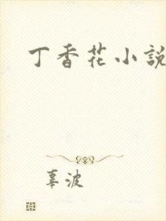 丁香花小说封面