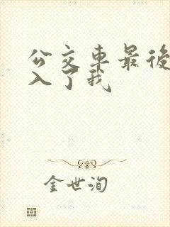 公交车最后一排入了我