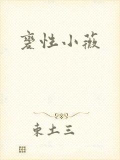 变性小薇封面