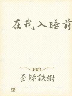 在我入睡前封面
