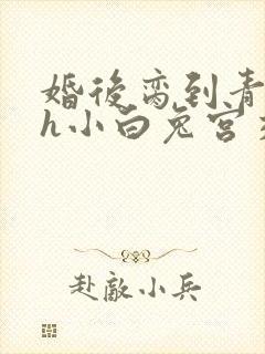 婚后脔到青梅哭h小白兔宫交h