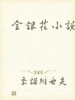 金银花小说乐可