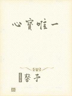 心宝唯一