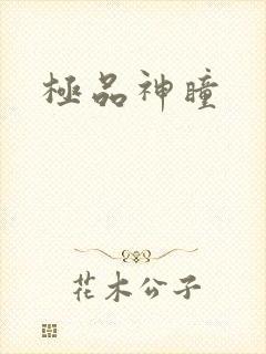 极品神瞳