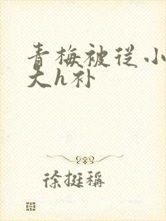 青梅被从小摸到大h补封面