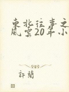 东北往事之黑道风云20年小说