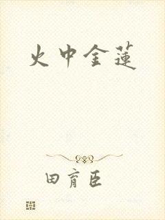 火中金莲封面