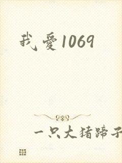 我爱1069封面