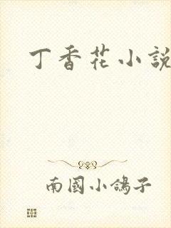 丁香花小说