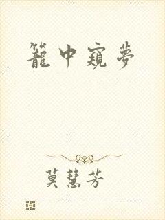 笼中窥梦