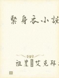 紧身衣小说