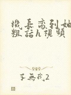 机长脔到她哭h粗话h视频