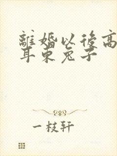 离婚以后高干 耳东兔子封面