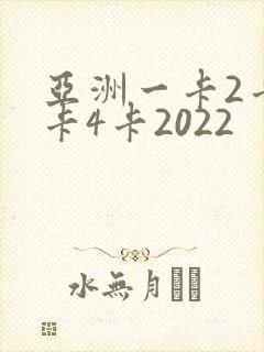 亚洲一卡2卡三卡4卡2022封面