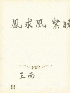 凤求凰 紫晓