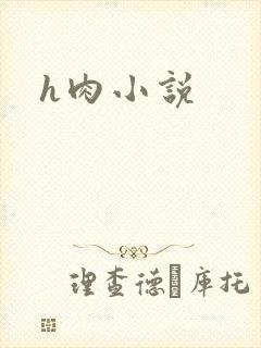 h肉小说