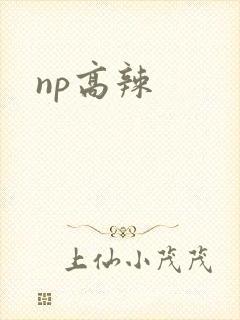 np高辣封面