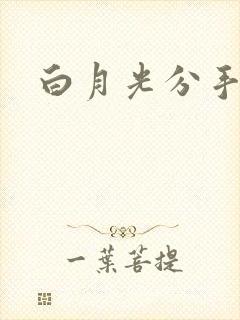 白月光分手日常