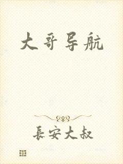 大哥导航封面