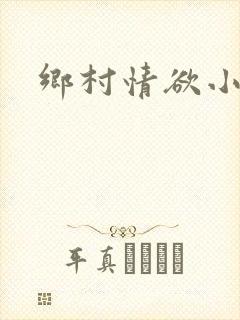乡村情欲小说