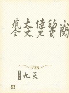 疯大佬的小玩物全文免费阅读小说