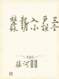 双龙入户三人行苏玥小说全文阅读