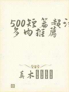 500短篇超污多肉推荐