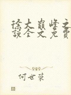 徐大巅峰之路小说全文免费阅读