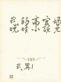 我的高官妈妈苏晚晴小说免费阅读封面