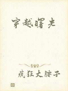 穿越曙光封面