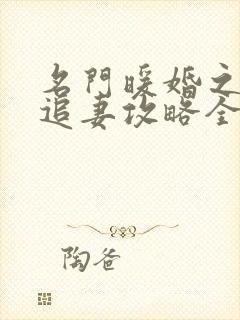 名门暖婚之权爷追妻攻略全文免费阅读