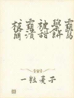 校霸被学霸玩到崩溃甜饼写手