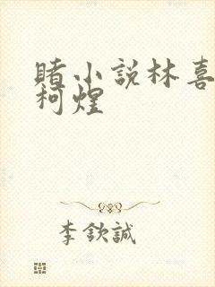 赌小说林喜朝和柯煜