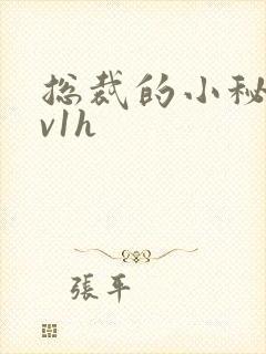 总裁的小秘书1v1h封面