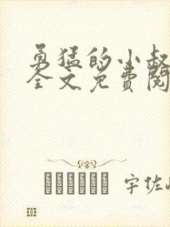 勇猛的小叔小说全文免费阅读封面