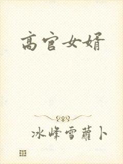 高官女婿
